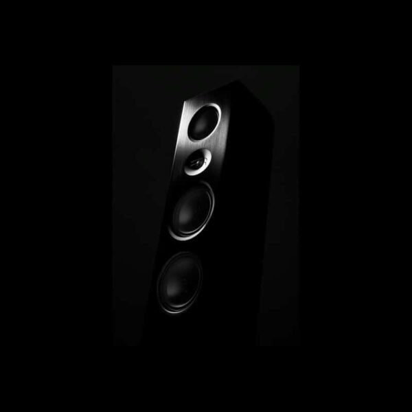 Talis S 300 Floorstanding Loudspeakers By T+A HiFi