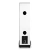 MoFi SourcePoint 888 20