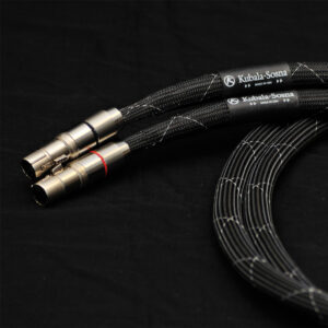 Kubala Sosna Realization Analog Interconnect 1